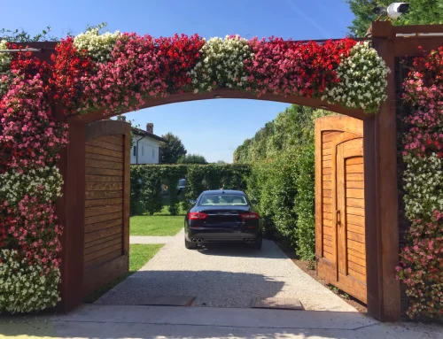 Il vero lusso nel noleggio auto? Non è solo il modello